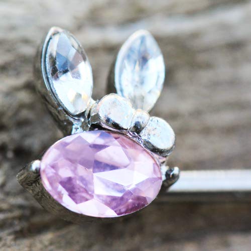 Productos Para Quemar Grasa, Imagen adicional