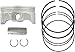 Prox Piston Kit KX450F '09-1112.5 1-01.4409.A