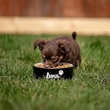 Hundenapf personalisiert aus Keramik S 400ml Schwarz – rutschfest, leicht & hygienisch – Futter- & Wassernapf mit Namen für kleine Hunde & Katzen