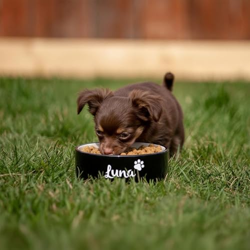 Hundenapf personalisiert aus Keramik S 400ml Schwarz – rutschfest, leicht & hygienisch – Futter- & Wassernapf mit Namen für kleine Hunde & Katzen