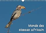 Monde des oiseaux africain (Calendrier mural 2019 DIN A4 horizontal): Des portraits d'oiseau fascinant de l'Afrique du sud (Calendrier mensuel, 14 Pages )