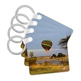 3dRose Key Chains Tanzania,...