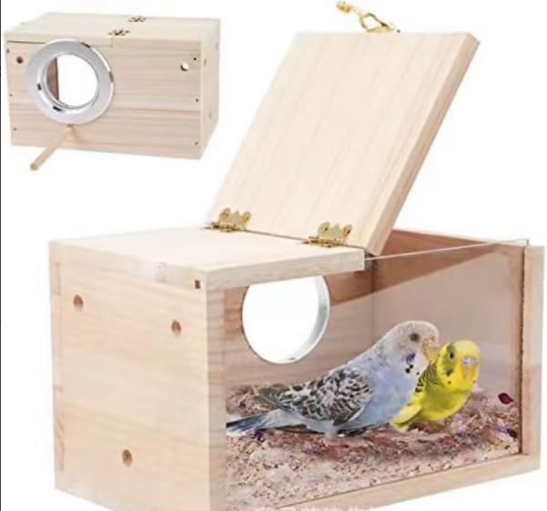 amazon.sa Best Sellers The best items in Pet Bird Supplies based on