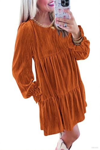 Naggoo Ladies Fall Color Dresses Wedding Guest Dress Long Sleeve Family Pictures Outfits for Apple Shaped