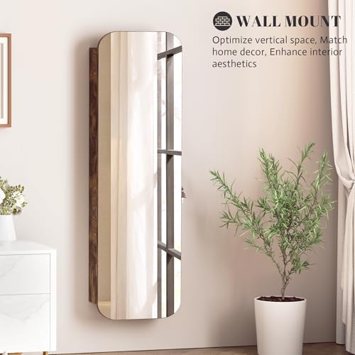 Image of Vlsrka 47.2 inch Wall /Door Mounted Jewelry Cabinet Organizer Armoire W /Mirror | 6 LEDs, Over The Door Hanging Jewelry Organizer with Rounded Corner Mirror, Lockable Full Length Mirror with Storage, Brown