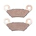 Polaris ATV Rear Dual Input Brake Pads, Genuine OEM Part 2204088, Qty 1