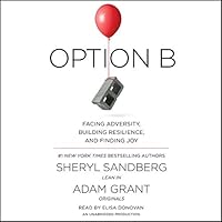 Algopix Similar Product 3 - Option B Facing Adversity Building