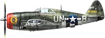 Amazon | アメリカ軍 飛行機 模型 完成品 1/72 サンダーボルト P-47D