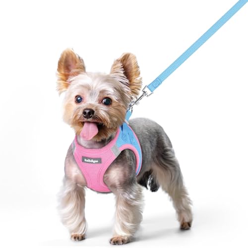 Image of rabbitgoo Dog Harness Small Sized and Leash Set, Step-in Puppy Pet Vest