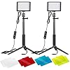 Neewer 2er-Pack dimmbares 5600K USB-LED-Videolicht mit verstellbarem Stativ und Farbfiltern für Tisch- / Kleinwinkelaufnahmen, Zoom-/Videokonferenzbeleuchtung/Spielestreaming/YouTube-Videofotografie