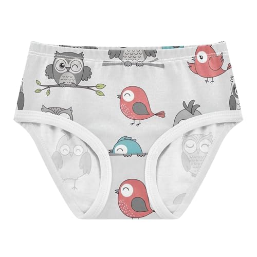 Bright Girls Underwear Toddler 2t Cotton Cute Panties Girl Cute Cartoon Owls Birds Grey Kids Briefs Undies