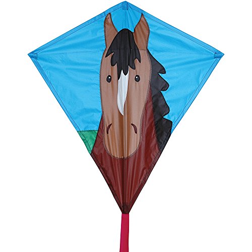 Bold Innovations Pony Diamond Kite Minnesota 