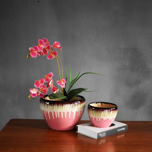 Pots de fleurs à drainage optimal et soucoupe de protection intégrée - 5