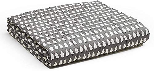 Ynm Weighted Blanket — Heavy 100% Oeko-Tex Certified Cotton Material With Premium Glass Beads (Penguin, 36''X48'' 5Lbs), Suit For One Person(~40Lb) Use On Twin Bed #TOP28