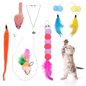 6 Stück Interaktives Katzenspielzeug Katzenspielzeug Selbstbeschäftigung Katzenspielzeug mit Federn Hängende Türrahmen Hängendes Katzenspielzeug Set für Katzenauslauf und Gegen Langeweile