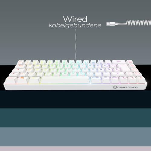 Neu 2024 - K208 Kompakte TKL-Kabelgebundene Tastatur (DE-QWERTZ) 69 Tasten RGB - Abnehmbares USB Type C Kabel Plug & Play - PC/PS4/PS5/Xbox - 23 Anti-Ghosting-Tasten (Weiß) – Bild 3