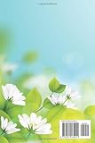 365 dias para alcançar a sua melhor vida: Livro e Diário Positivo