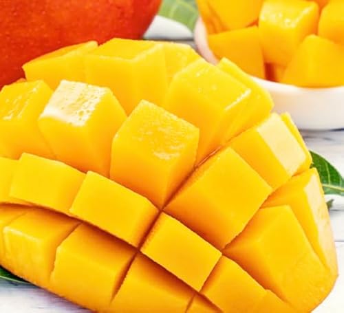 とろける甘さ 石垣島マンゴー 3〜6玉 (約2kg) 大容量