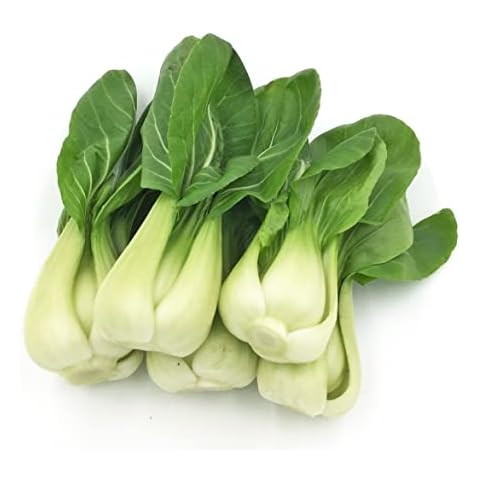 For 2025 Early Bird! Sow in Fall/Spring! HipGirl Baby Bok Choy Seeds for Sprouting,Cabbage Seeds for Planting,Microgreen Seeds Planting Seeds for Home Vegetable Garden-Pak Choi Shanghai(上海青江菜)2g 700ct Cover