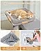 PAWZ Road Cat Tree, 30 Inches Cat Tower with Dual Condos for Indoor Cats, Plush Cat House with Padded Perch, Scratching Ramp and Posts and Replaceable Balls-Gray