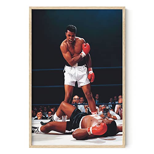 HAUS AND HUES 24x36 unframed poster