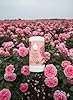 Safely Multi-Surface Cleaning Wipes, Damaskus Rose Scent, Bleach-Free Household Cleaner with Essential Oils, Safe for All Surfaces (75 Count, Pack of 1) #1