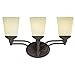 Westinghouse Lighting 6302200 Malvern Three-Light Indoor Wall Fixture, Oil Rubbed Bronze Finish with Smoldering Scavo Glass