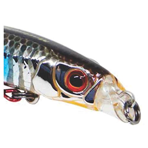 ISCA MARINE SPORTS REI DO RIO 80