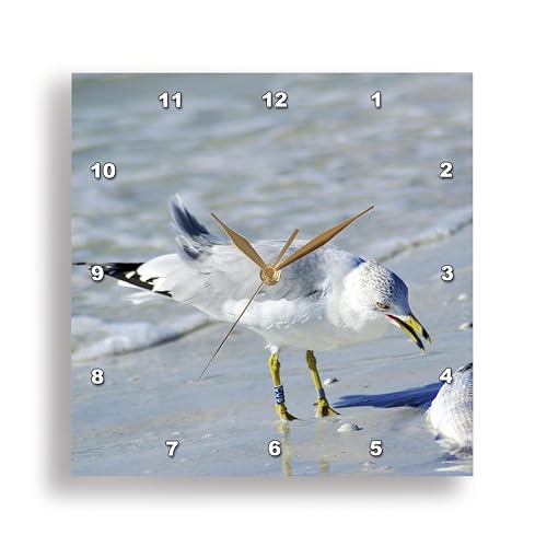 Reloj de pared 3dRose Seagull 13x13 pulgadas miniatura 1