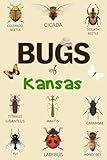 Bug Of Kansas: Identification Log Book for Insect Enthusiasts, Bug Journal to Observe and Record Bug & Insect Collecting Information, Bug Lovers (Gifts for Kids And Adults Entomologists)