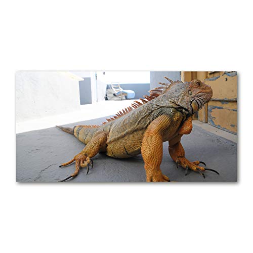Verre de sécurité trempé 100x50cm pour dosseret de cuisine motif iguane Tulup
