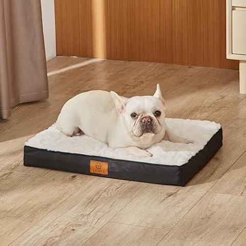 LIORCE Medium Dog Bed for Medium Dogs - Orthopedic Dog Beds for Crate with Removable Washable Cover, Cooling Egg Foam Pet Bed Mat with Waterproof Liner, Non-Slip Bottom, White Cover