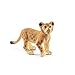 Produktbild SCHLEICH WILD Life | Löwenjunges 14813 | detailgetreue Tierfiguren | Zoo Spielzeug | tolles Geschenk für Jungen und Mädchen | Deko für Geburtstag | Spielfigur ab 3 Jahren | 8 x 3 x 4 cm