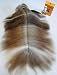 DoggyDolly PS001 Silk Coat Hunde Fellpflege und Biogance BGCS250 Hundeshampoo Set