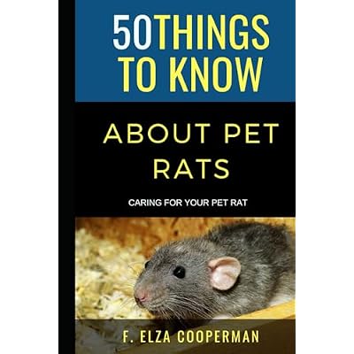 50 Things to Know About Pet Rats
