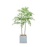 Fuyutu ナンテン 人工観葉植物 大型 130cm/150cm/180cm フェイクグリーン 鉢付き リアル 難を転ずる 枯れない 虫がつかない インテリア 和モダン お祝い ギフト (グレー角鉢, 130cm)