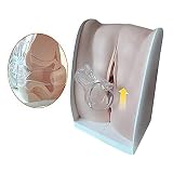 Female Genital Model- Medical Model Teaching Model Uterus Model Cervical Uterine Vaginal Silicone Soft Silicone Display Model 1: 1 Female Gynecological Manikin Model for Science Classroom Study