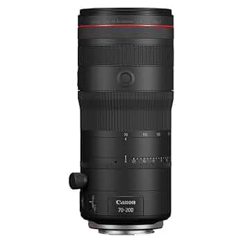 Canon RF 70-200mm F4 L IS USM ZXⅡプロテクター付 RFレンズ RF70-200mm F4 L IS USM：通販｜キヤノンオンライン