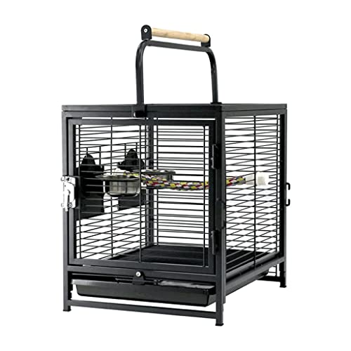  BS   |[^u LA  ̔sP[W [OX^ht XNGA o[hnEX LA |[^u