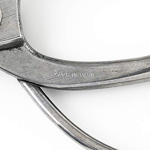 Hanafubuki Wazakura Ikebana Scissors Made In Japan 6.7Inch(170Mm), Japanese Flower Arranging Bonsai Tools, Kado Hasami Shears - Koryu Stainless Steel #TOP2