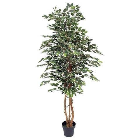 Blooming Artificial Ficus Tree Plant, 6ft Cover