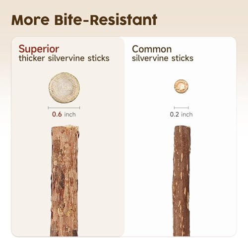 Katzenminze Sticks, 3 Stück Katzen Kauhölzer Sticks für Katzen Zahnpflege & Gegen Mundgeruch Natürlich Sicher Katzensticks Kausticks – Bild 6