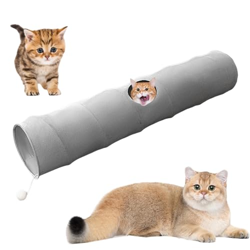 ybg`[uALgl - LVуgl vC{[Ƃ̂t - AETMAqLAtFbgAqp̐܂肽ݎybggl