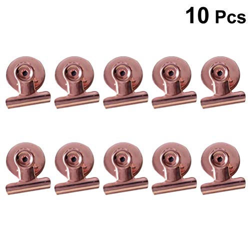 Clipe magnético para geladeira com 10 peças da Vosarea de aço inoxidável para buldogue magnético par