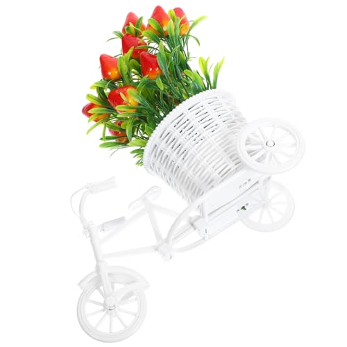 SMASOLO Juego de Plantas