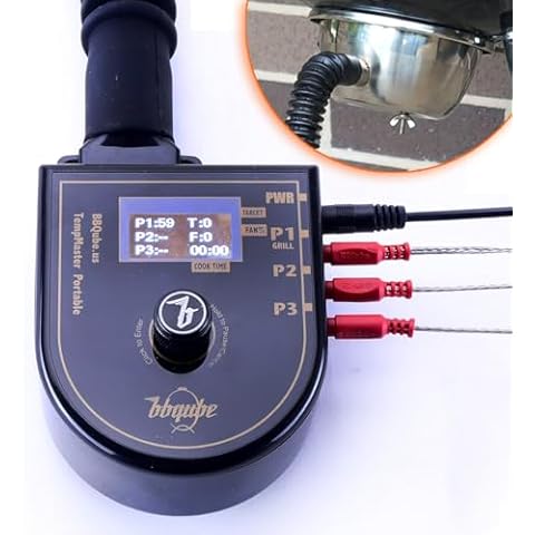 TempMaster Wireless BBQ Temperature Controller Set n Forget Automatic Fan For Weber Grills Free Stainless Vent Adapter Carry-All Case Turn Kettle, Smokey Mountain, WSM, into Auto Charcoal Smokers Cover