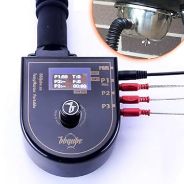 best temp controller for weber kettle