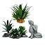 Succulents/Buddha-set