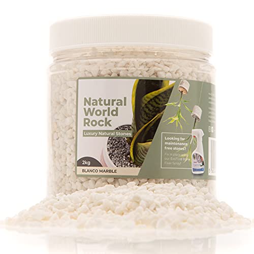 Natural World - Piedras decorativas para plantas (2kg, 5 mm de diámetro, perfectas para macetas de interior y exterior, para el hogar, jardín, macetas y mármol blanco) Cover