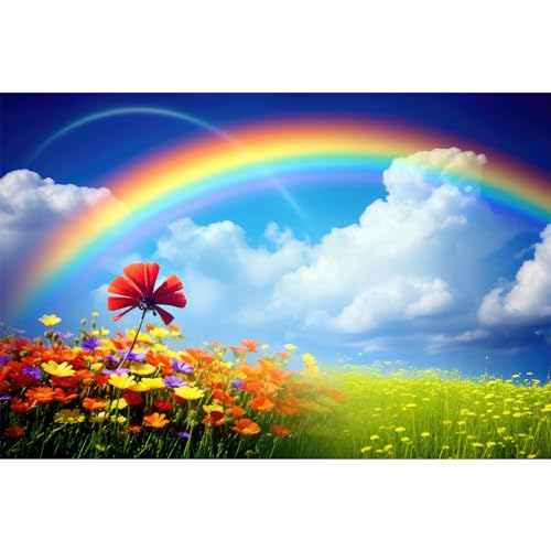 Rainbow Backdrop Spring Green Meadow Vibrant Wildflowers Photography Background Summer Cloudy Blue Sky Tranquil Natural Field Landscape Backdrop for Kids Children Birthday Cake Table Props 7x5ft